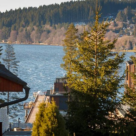 Vila Kubik Lipno Lipno nad Vltavou Eksteriør billede