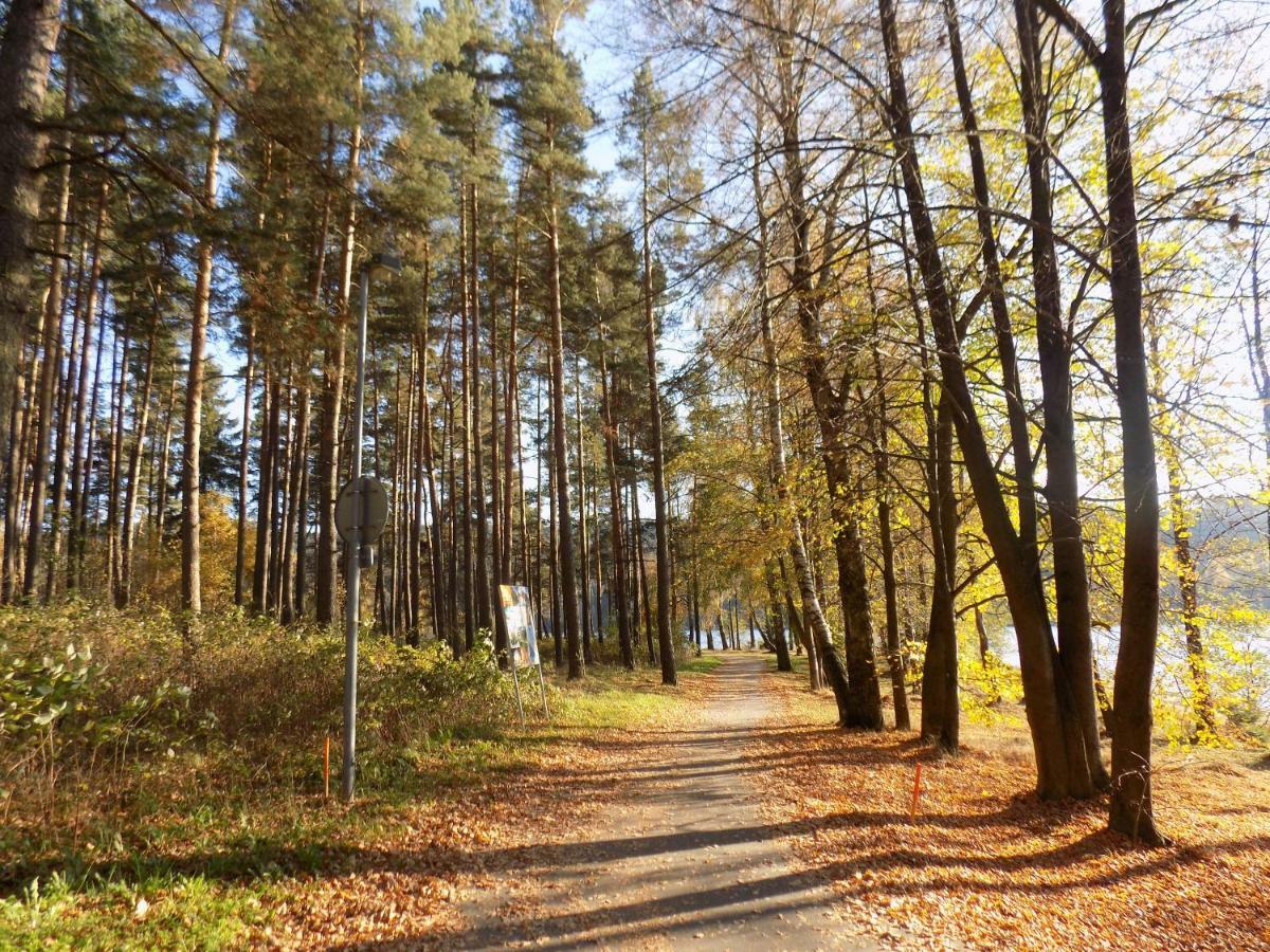 Vila Kubik Lipno Lipno nad Vltavou Eksteriør billede